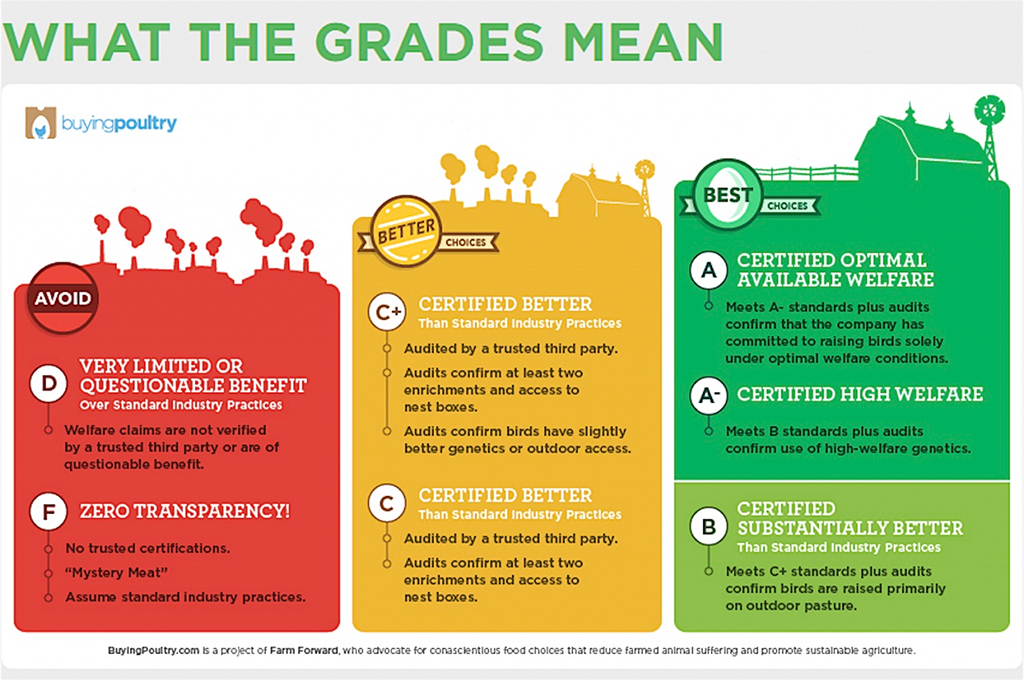 What the Grades Mean